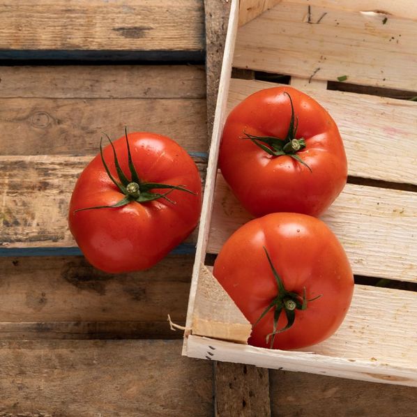 Tomates côtelées