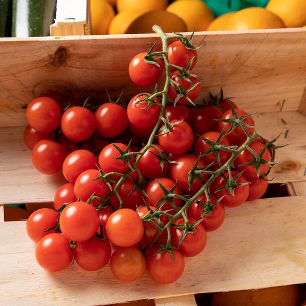 Tomates cerises